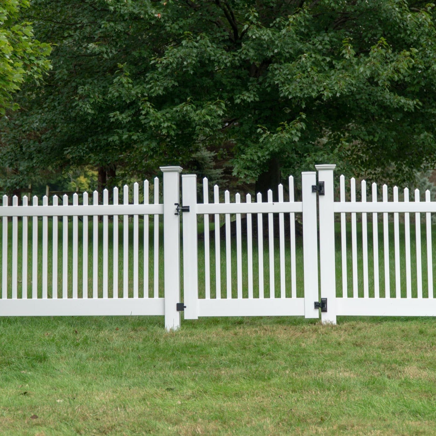 Chestnut Scallop Haven Series - Fence Panel - 4' x 8'-Vinyl Fence Panels-ActiveYards-White-FenceCenter