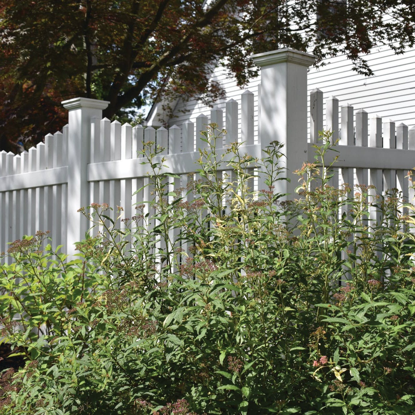Chestnut Scallop Haven Series - Fence Panel - 4' x 8'-Vinyl Fence Panels-ActiveYards-White-FenceCenter