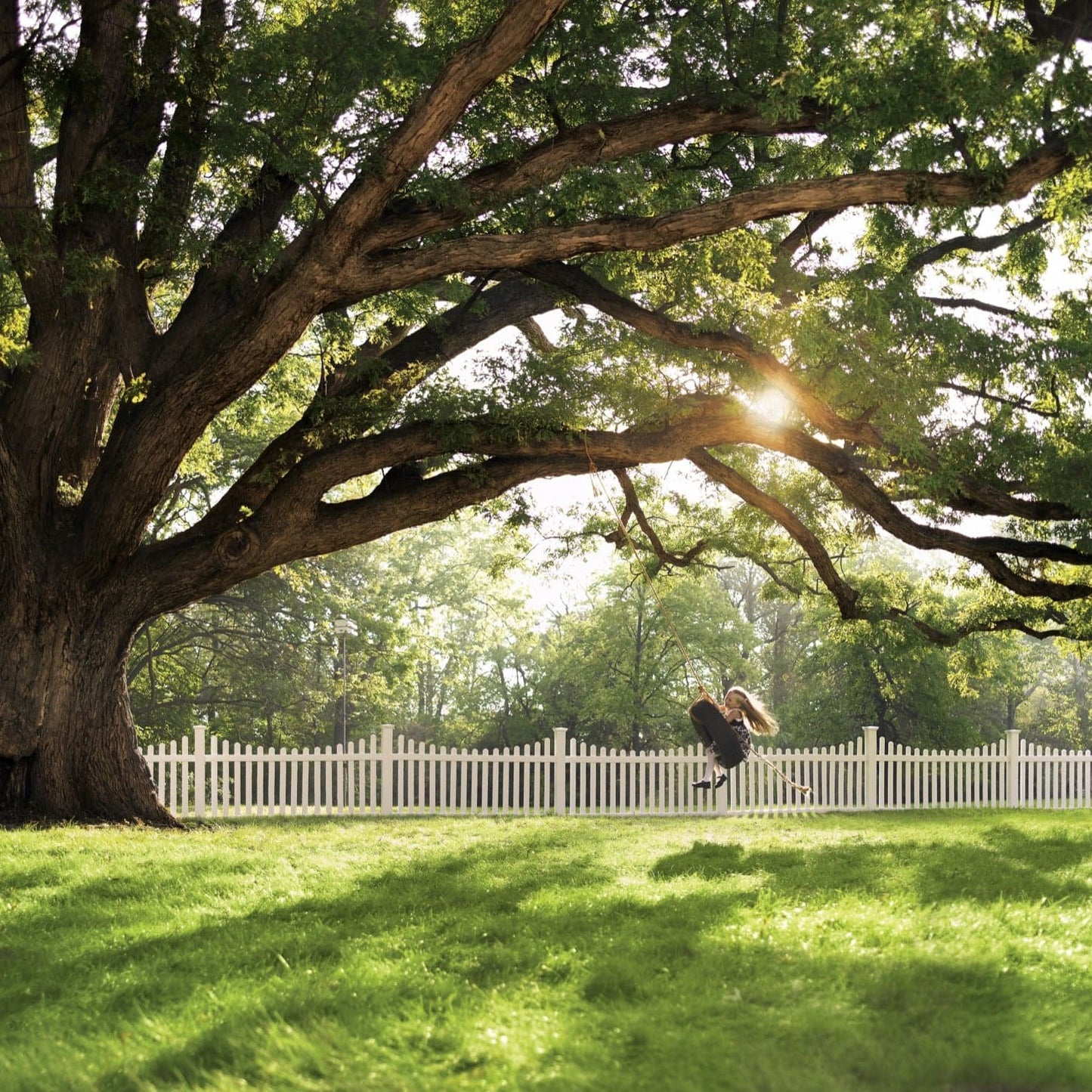 Silverbell Scallop Haven Series - Fence Panel - 4' x 8'-Vinyl Fence Panels-ActiveYards-White-FenceCenter