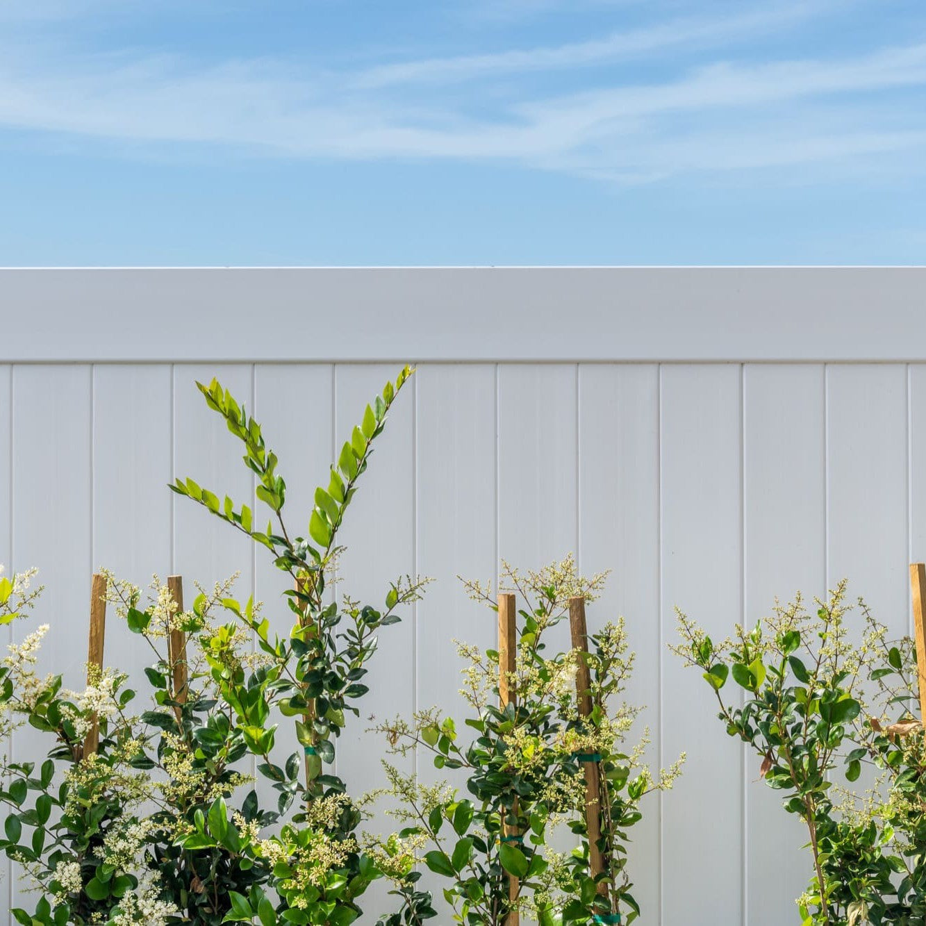 Dogwood Home Series - Fence Panel - 6' x 8'-Vinyl Fence Panels-ActiveYards-FenceCenter