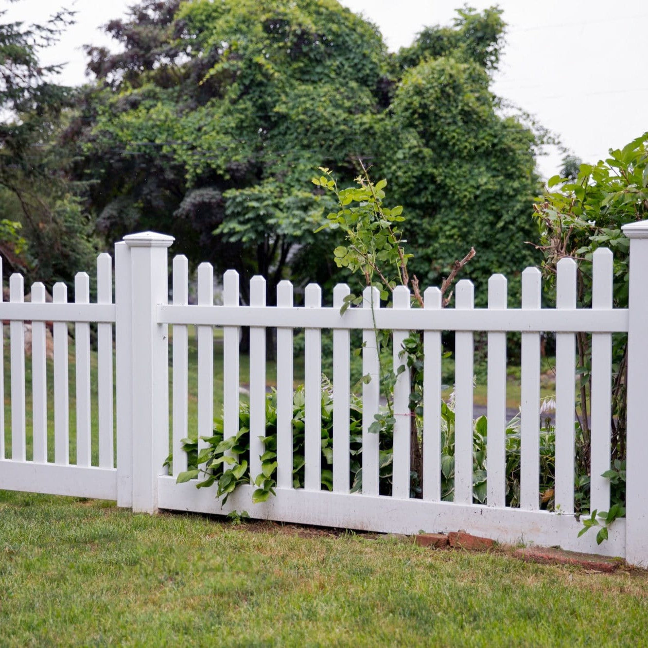 Silverbell Scallop Haven Series - Fence Panel - 4' x 8'-Vinyl Fence Panels-ActiveYards-White-FenceCenter