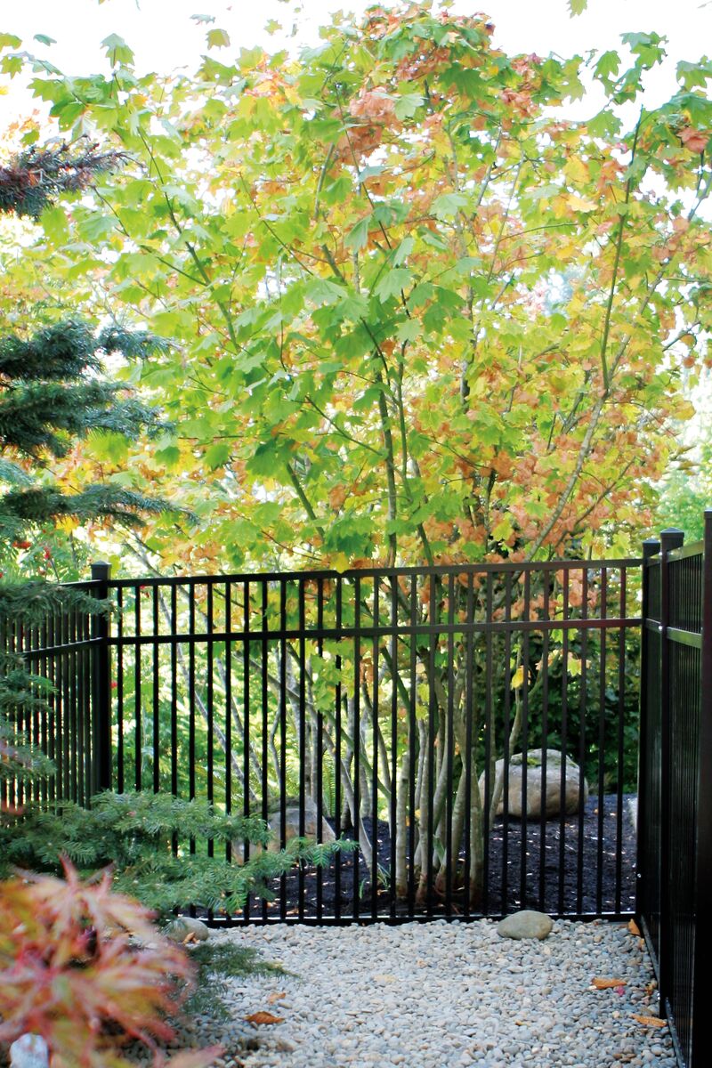 Travertine Harbor Series - Fence Panel - 4½' x 6' Drop Rail-Aluminum Fence Panels-ActiveYards-Black-FenceCenter