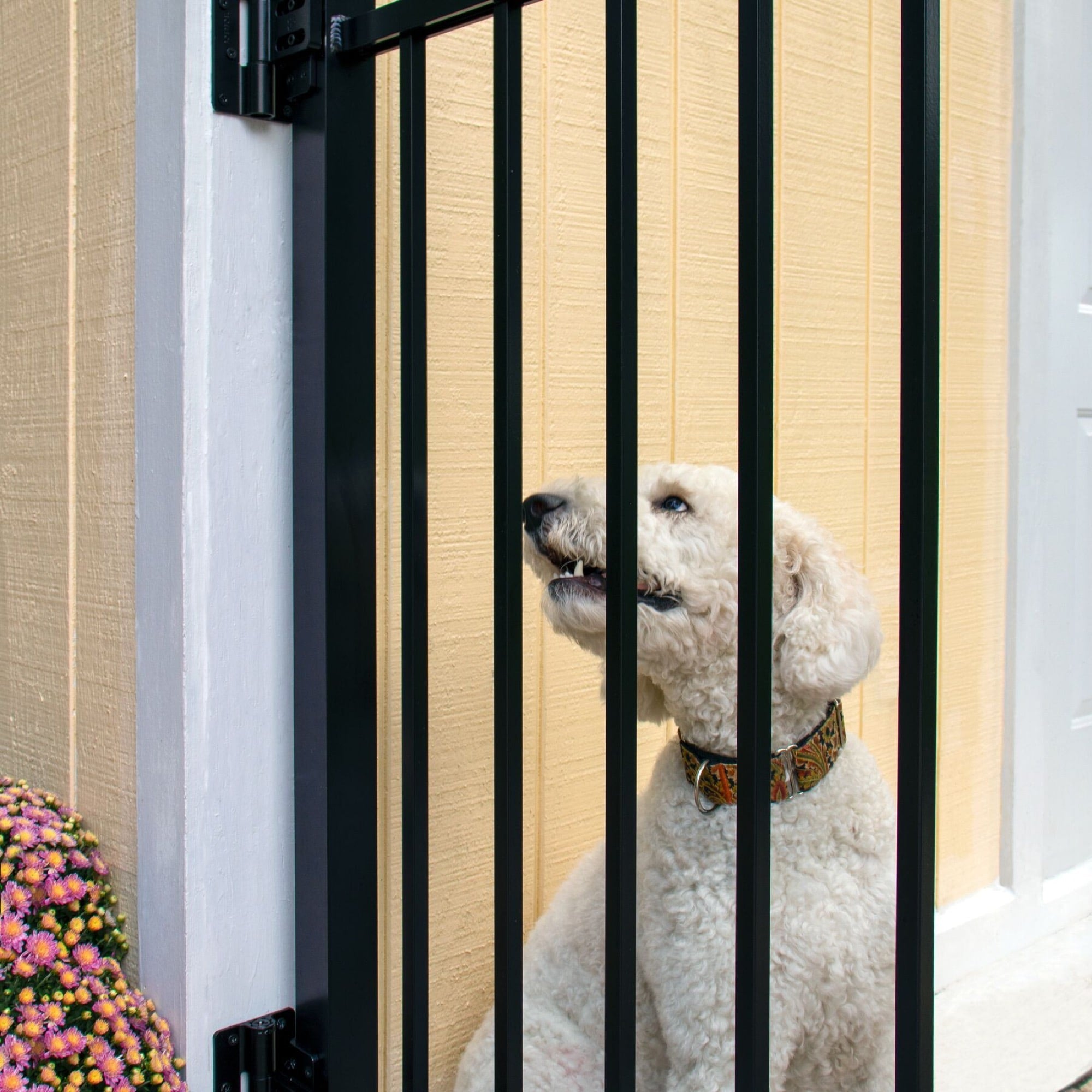 Butterfly Hinge - Flush Mount – FenceCenter